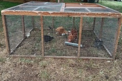 IMG_20250614_104415