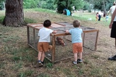 IMG_20250614_104952